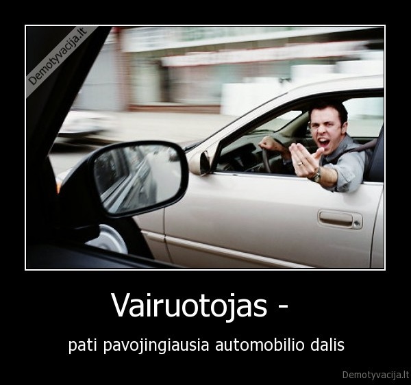 Vairuotojas - 
