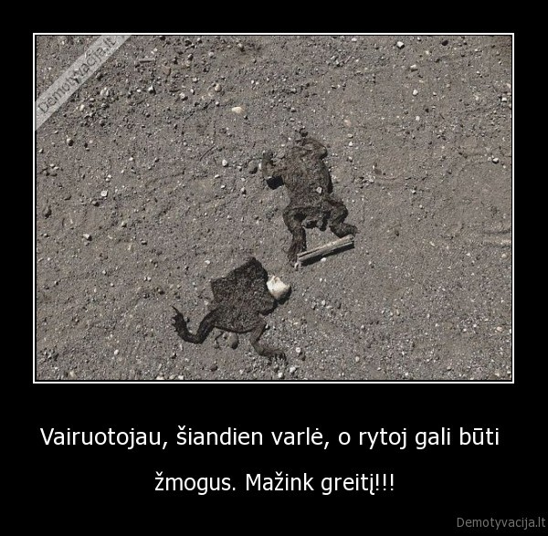 greitis,varles,vairuotojai