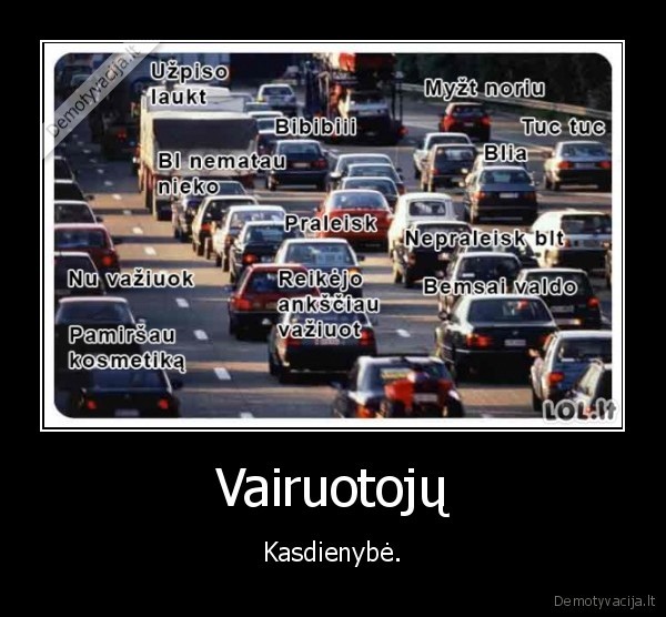 variuotojai,kasdienybe,kamsciai
