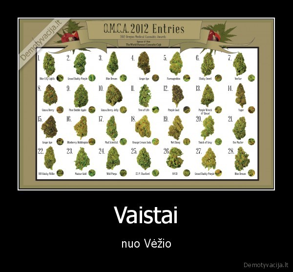 Vaistai
