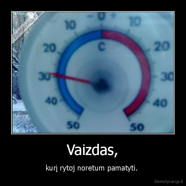 kai, bus, salta