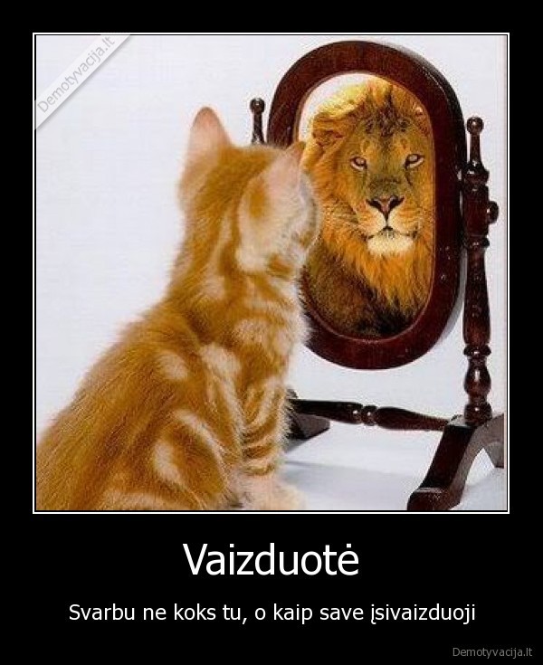 Vaizduotė