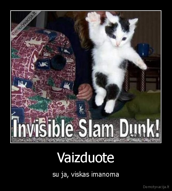 Vaizduote