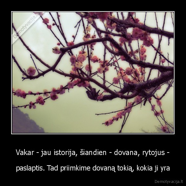 ismintis,dovana,istorija,rytoj