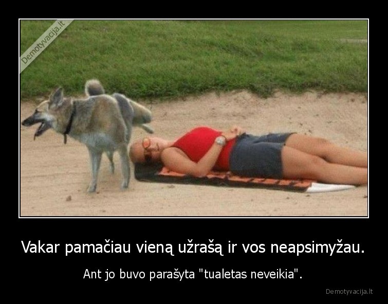 uzrasas,tualetas,myzimas