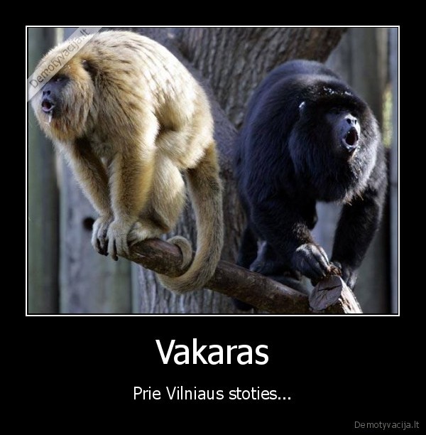 stotis,vilnius,bomzai,narkomanai,marozai