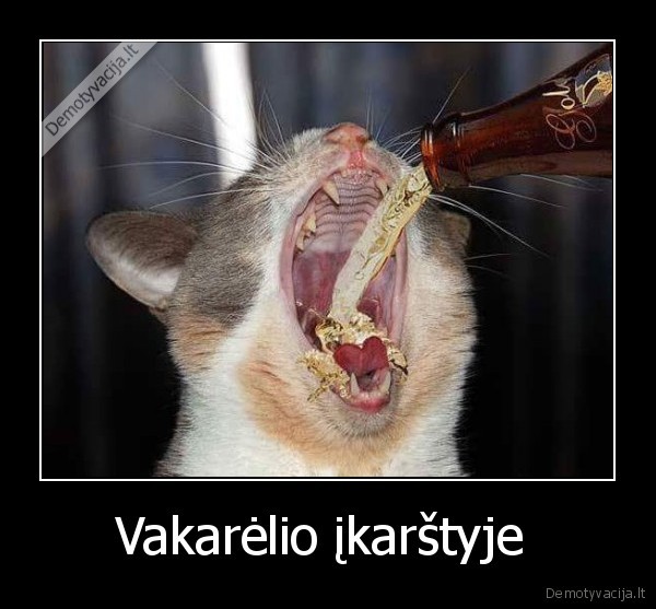Vakarėlio įkarštyje 