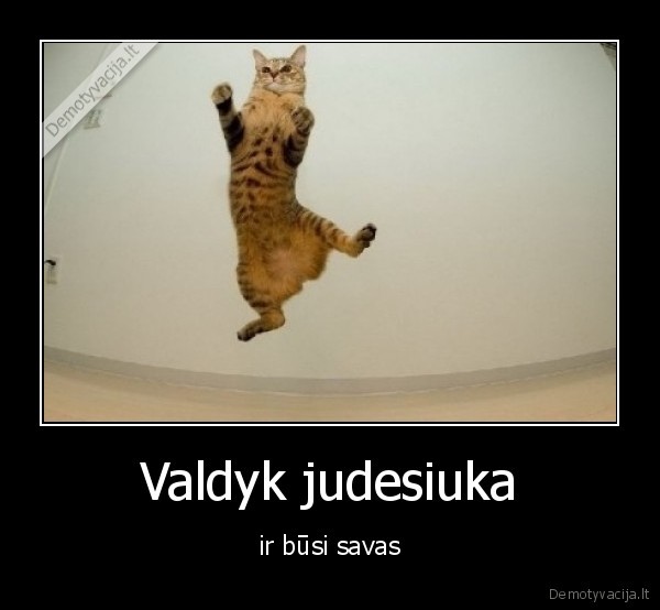 Valdyk judesiuka