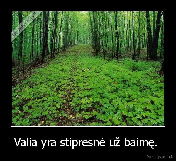 valia, baime