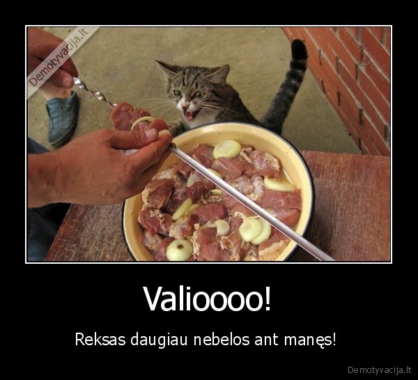 Valioooo!