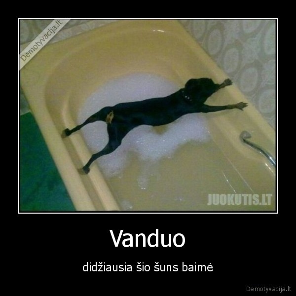 Vanduo