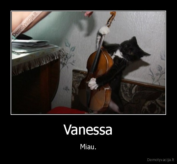 smuikas,vanessa,miau