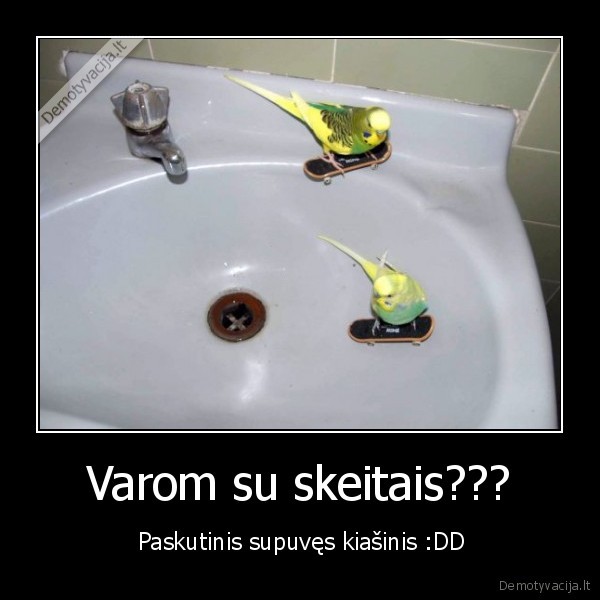 Varom su skeitais???