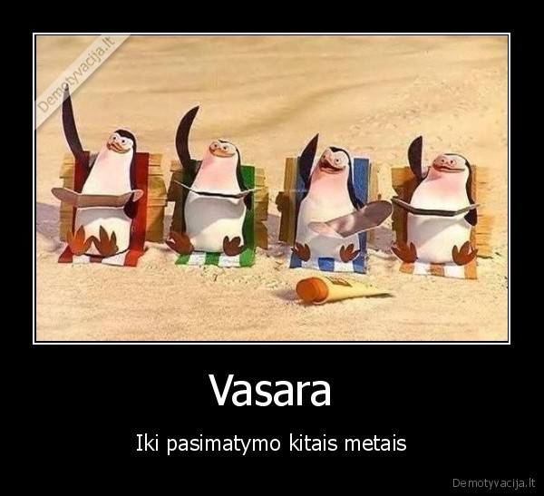 Vasara