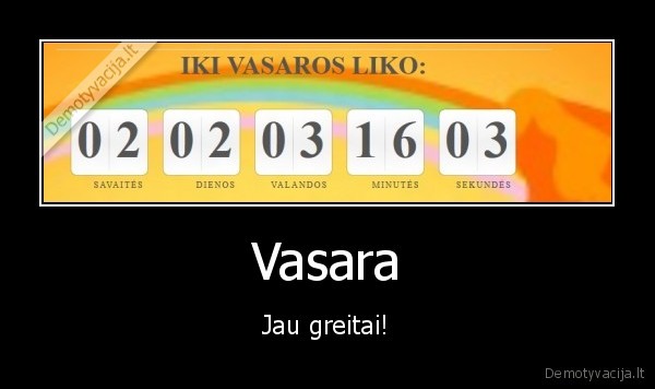 Vasara