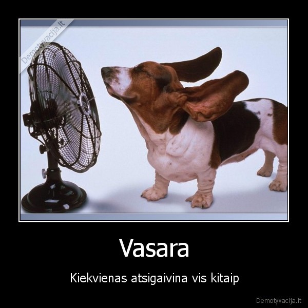 Vasara