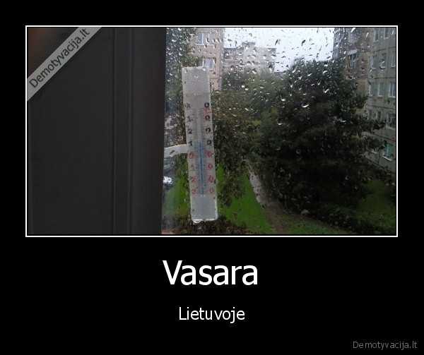 Vasara