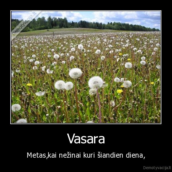 vasara,laikas,pramogos