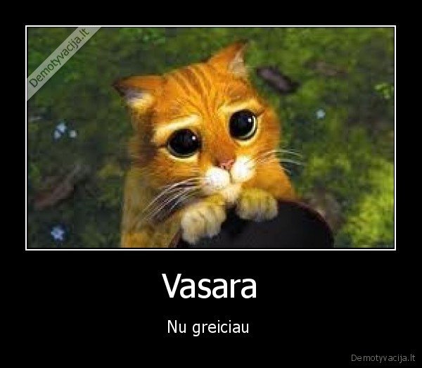 Vasara