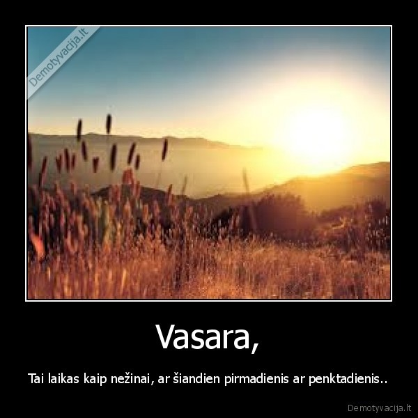 Vasara,
