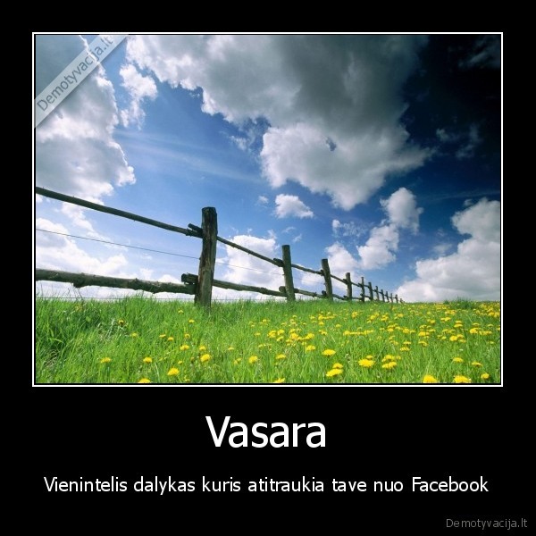 Vasara