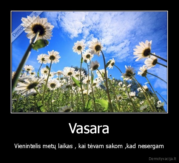 Vasara