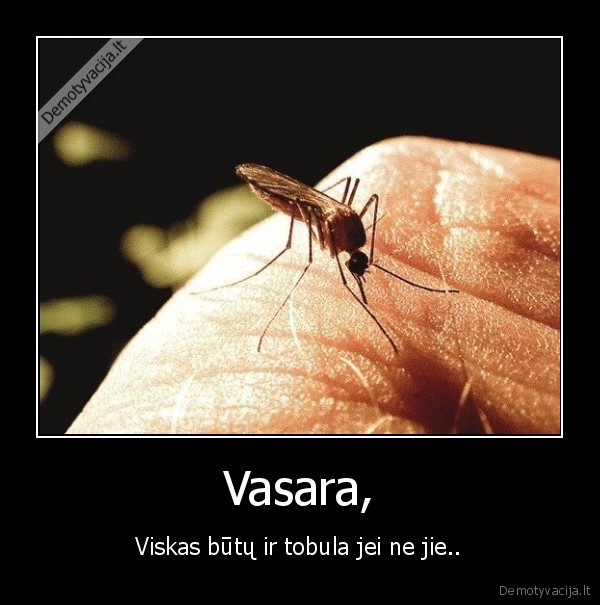 Vasara,