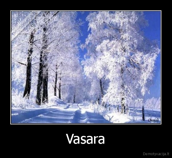 lekiam, i, pleza