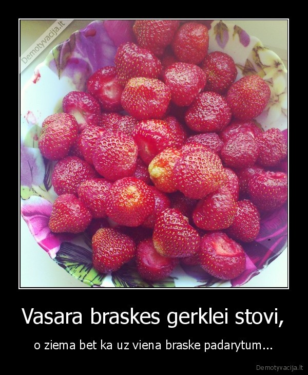 maistas