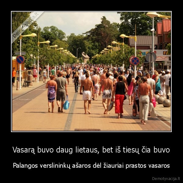 palanga,verslas