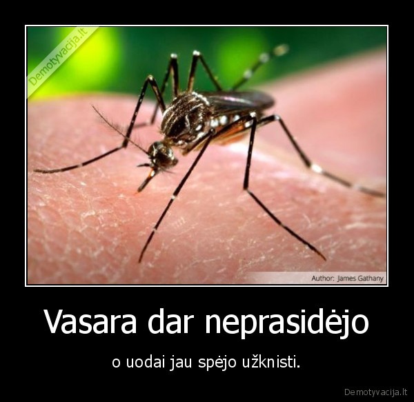Vasara dar neprasidėjo