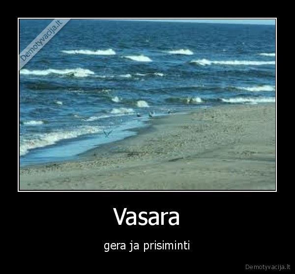 noriu, vasaros,nupirk, kebaba