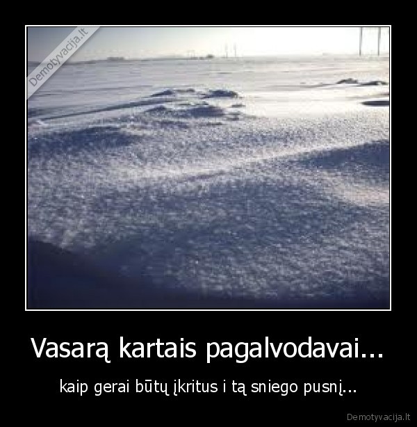 ziema,pusnis