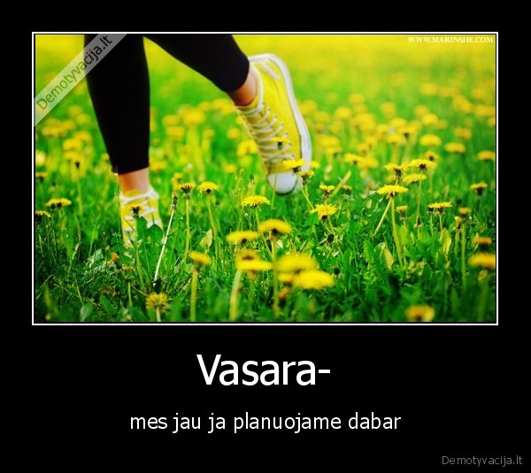 vasara., linkmybes,pieva,inkariukai,pienes,geles