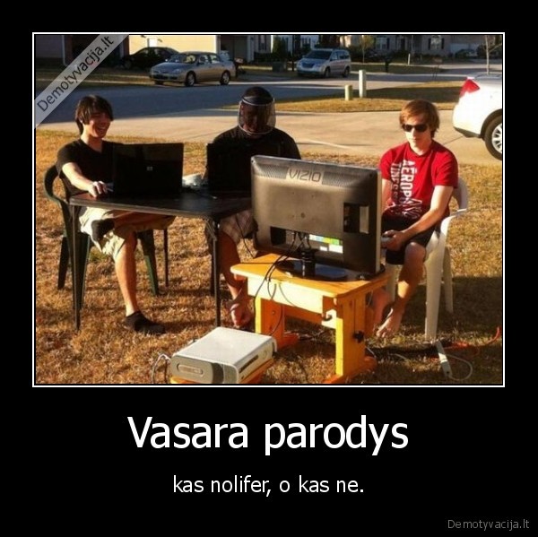 Vasara parodys