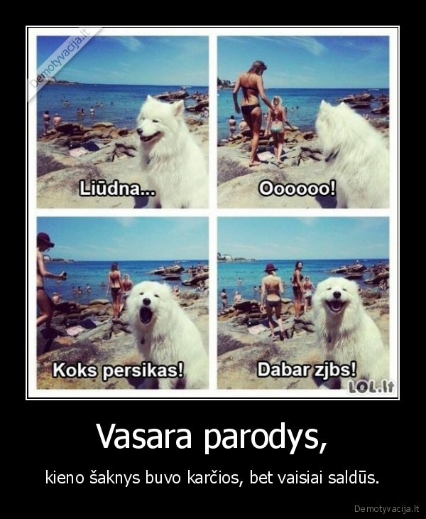 Vasara parodys,