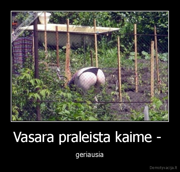 vasara,kaimas