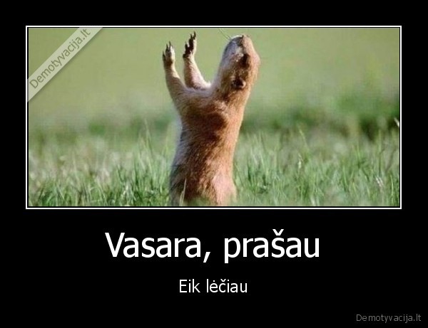 Vasara, prašau