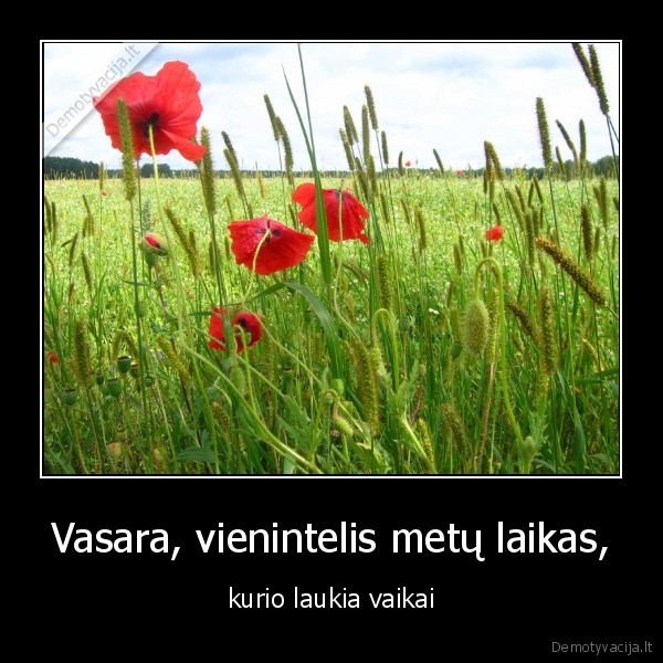 vasara