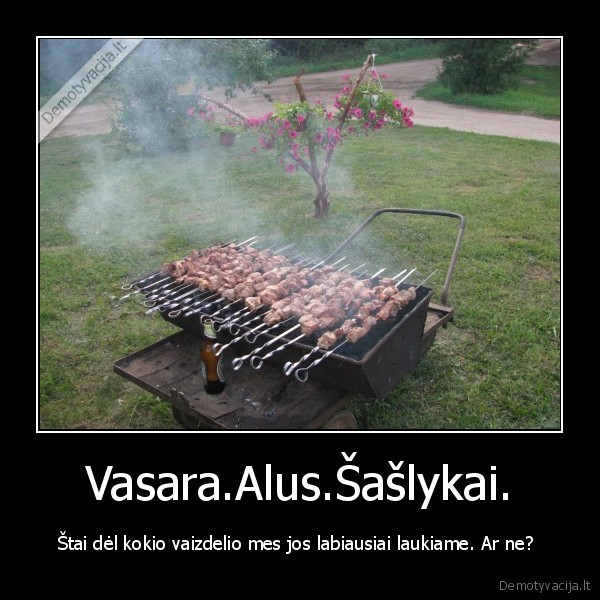 alus,vasara,saslykai