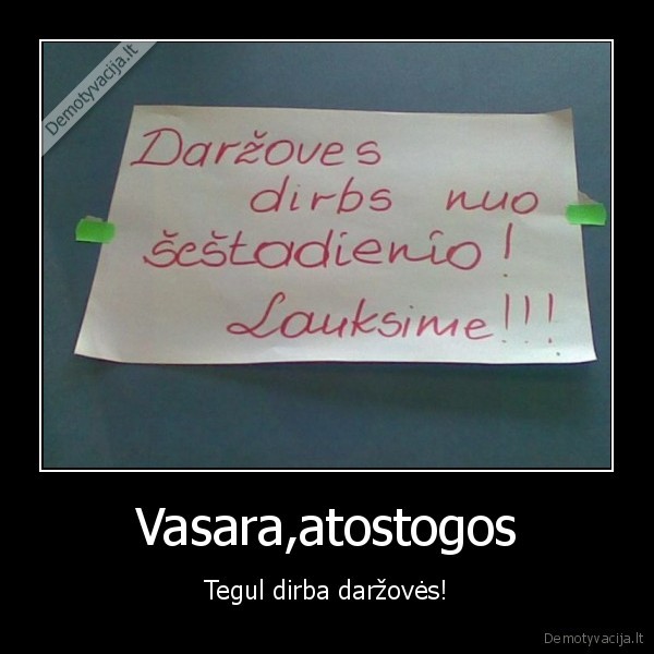 lietuvoje, dirba, darzoves