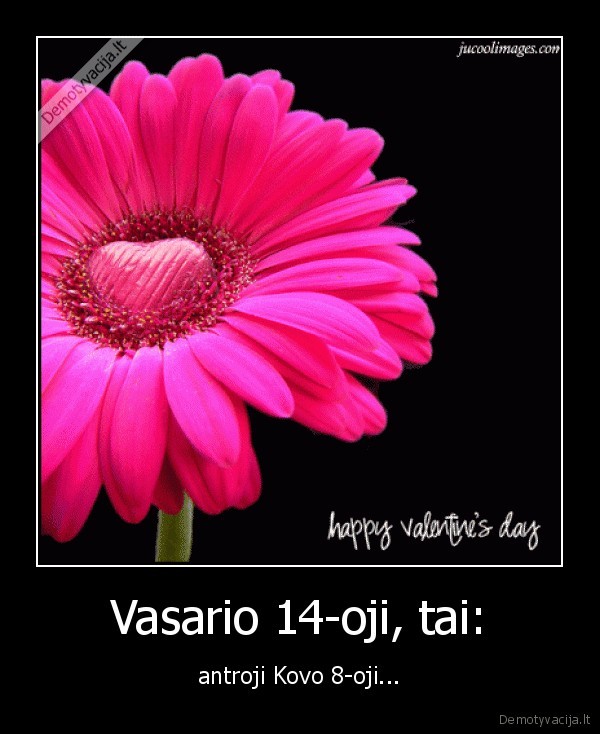 Vasario 14-oji, tai: