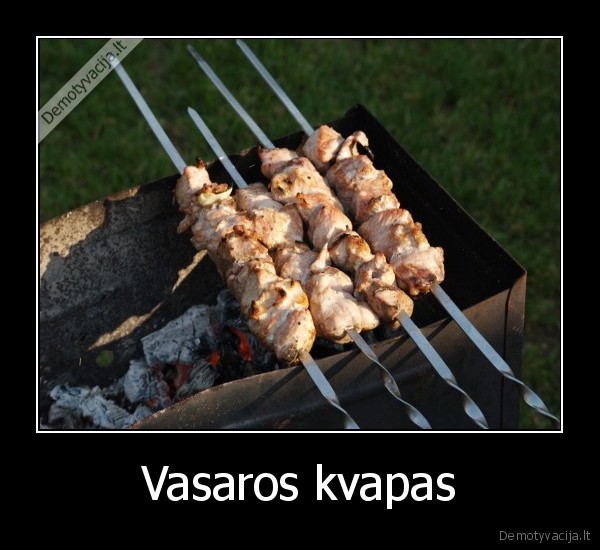 vasara,saslykai