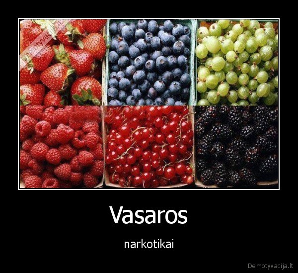 Vasaros