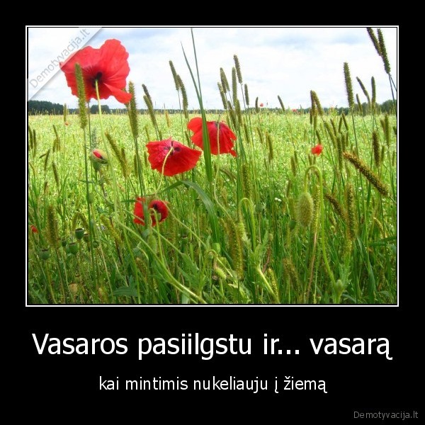 vasara