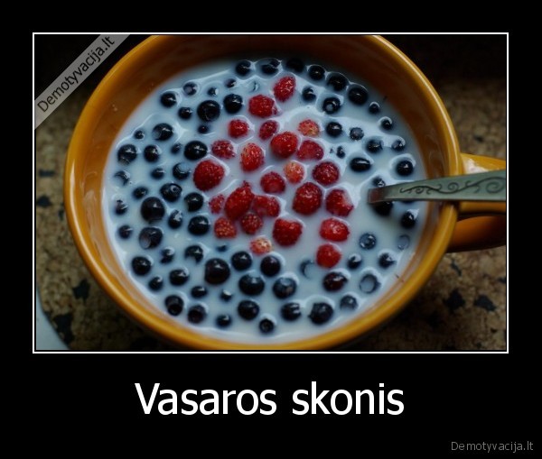 Vasaros skonis