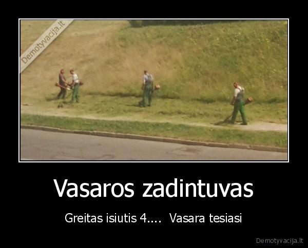 Vasaros zadintuvas