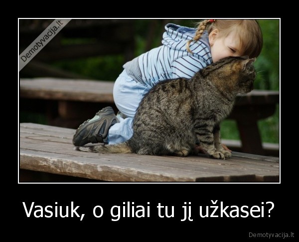 uzkase, drauga,dabar, eis, ieskot
