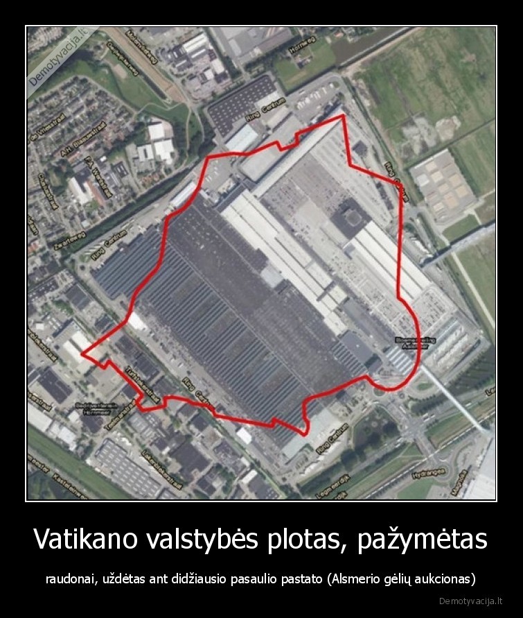 aukcionas,vatikanas,plotas,alsmeris