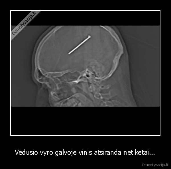 vede, vyrai,vinis